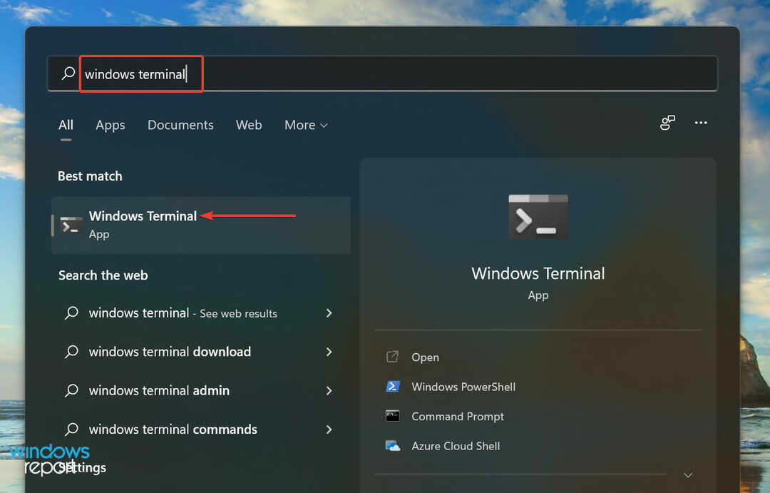 Lansați Windows Terminal pentru a repara Lifecam Studio Windows 11
