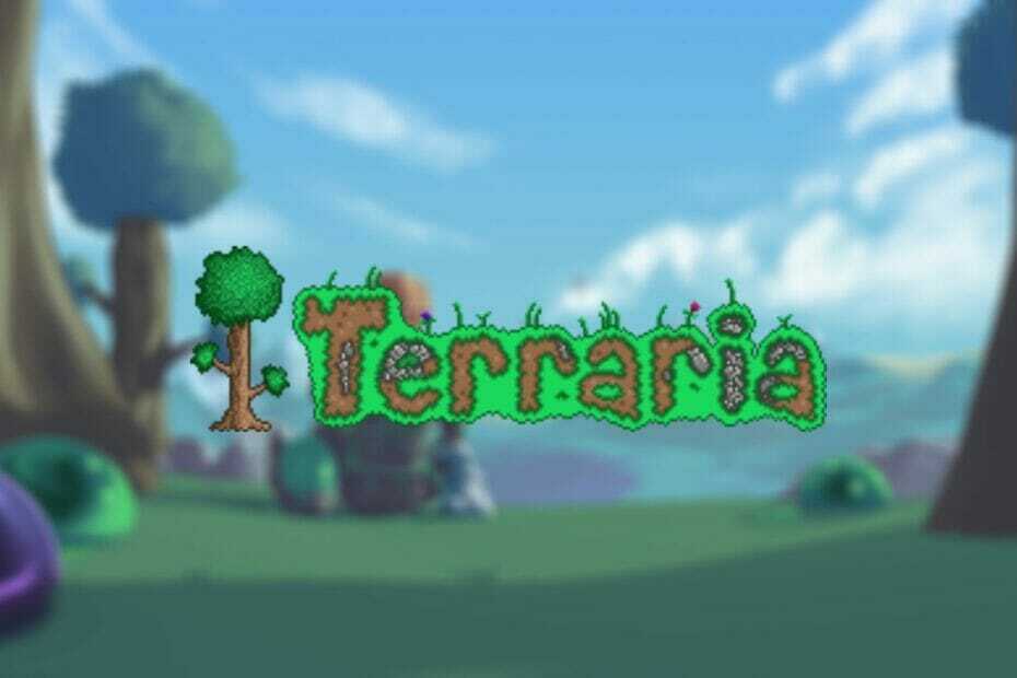 Terraria-pakettihäviön korjaus