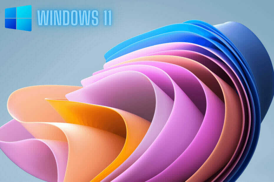 windows 11 schneller