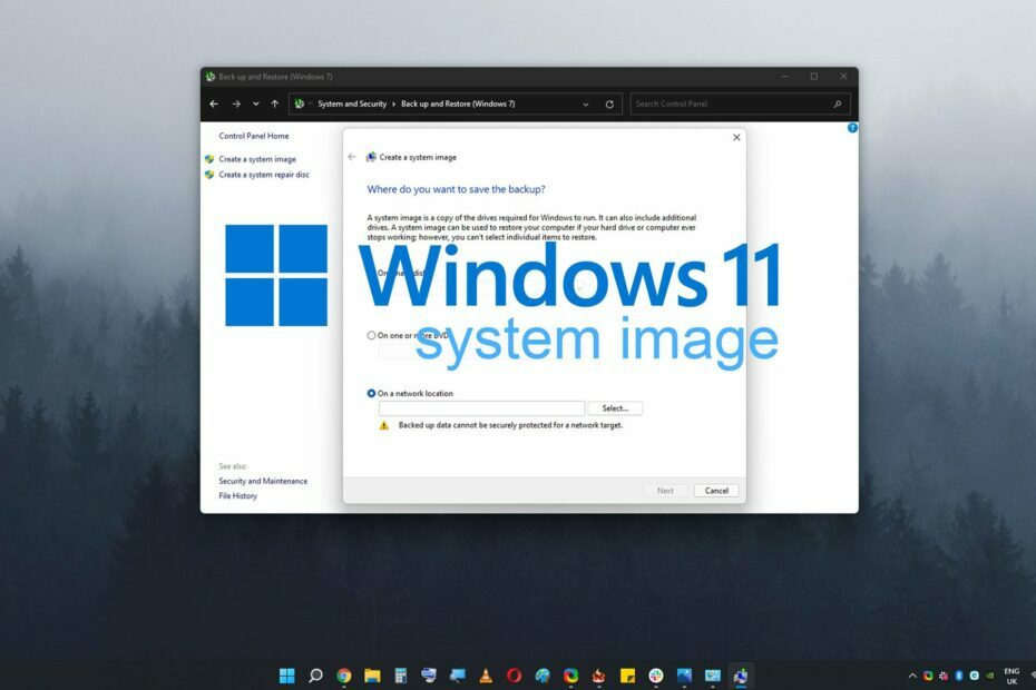 immagine di sistema di Windows 11
