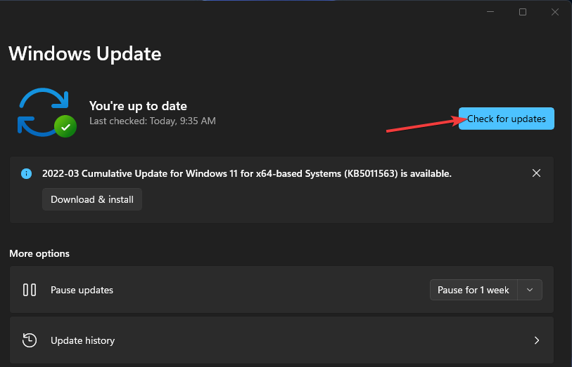 Tlačidlo Skontrolovať aktualizácie Windows 11 nie je nainštalovaný žiadny grafický ovládač amd