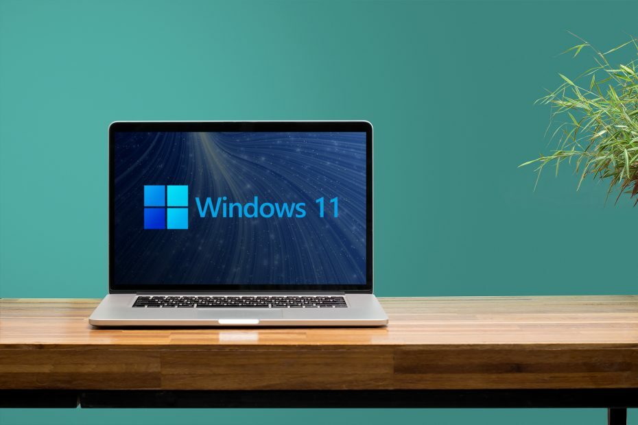 Windows 11-ში პაროლის მომხმარებლის სახელის შეცვლის 5 მარტივი გზა