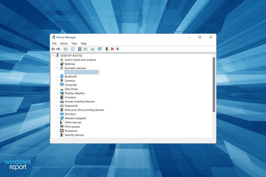Installeer Hello Face-stuurprogramma voor Windows 11