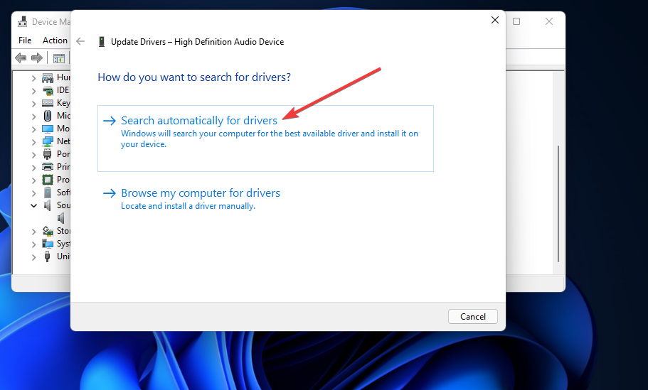 드라이버 자동 검색 옵션 출력 장치를 찾을 수 없음 Windows 11