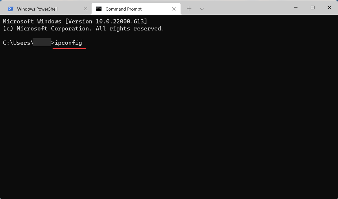 ipconfig για να βρείτε τη διεύθυνση ip των Windows 11