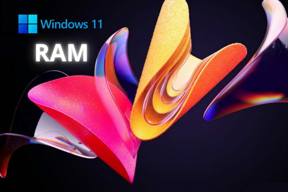 RAM controleren op Windows 11: 4 eenvoudige methoden