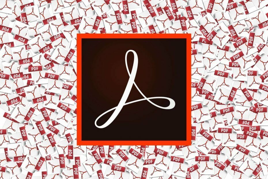 „Adobe Reader“ nepavyksta įdiegti „Windows“ problemų