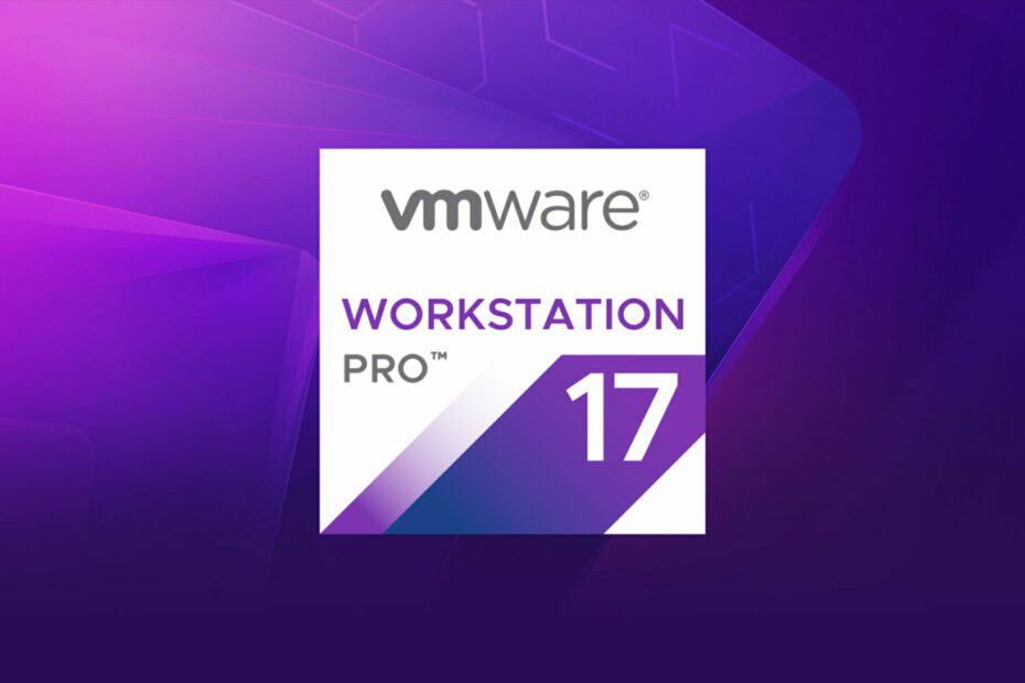 vmware 17 pro arbejdsstation