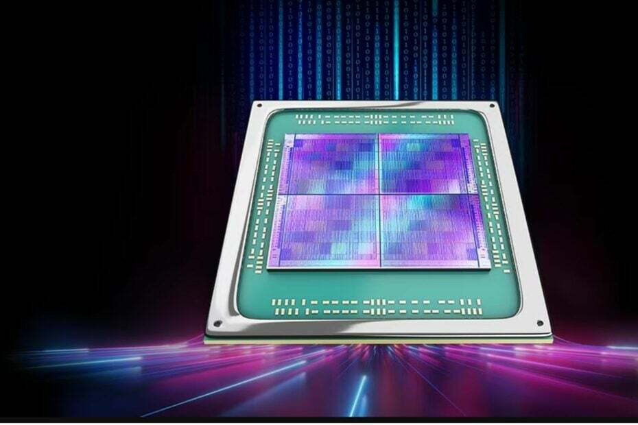 Nvidia AMD-Marktanteil