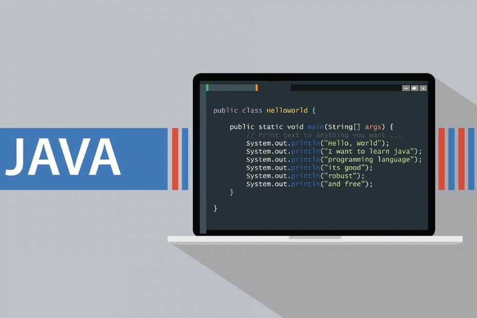 „Java“ saugumas užblokavo VPN