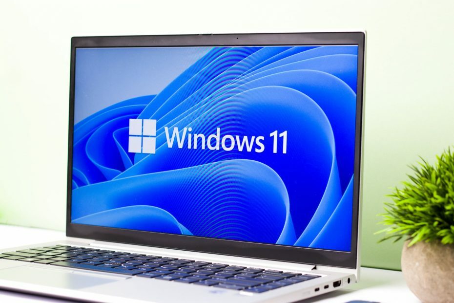„Windows 11“ tvarkyklės naujinimas