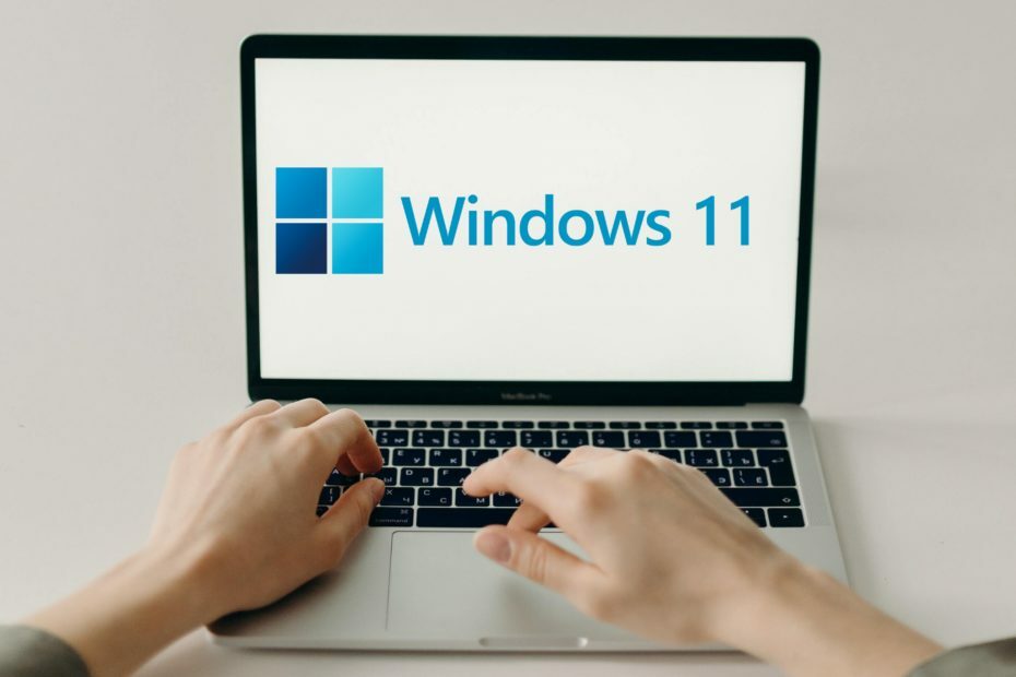 Kako pospešiti Windows 11 z dostopnimi metodami
