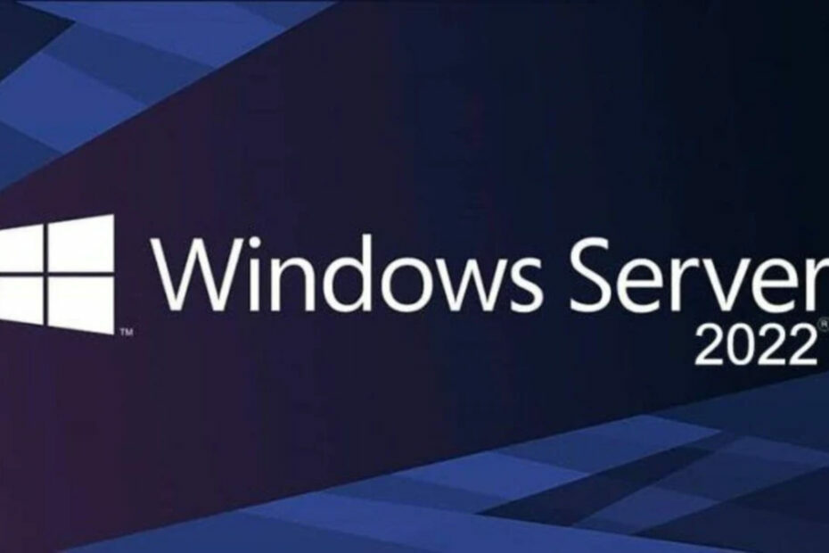 windows 11-server