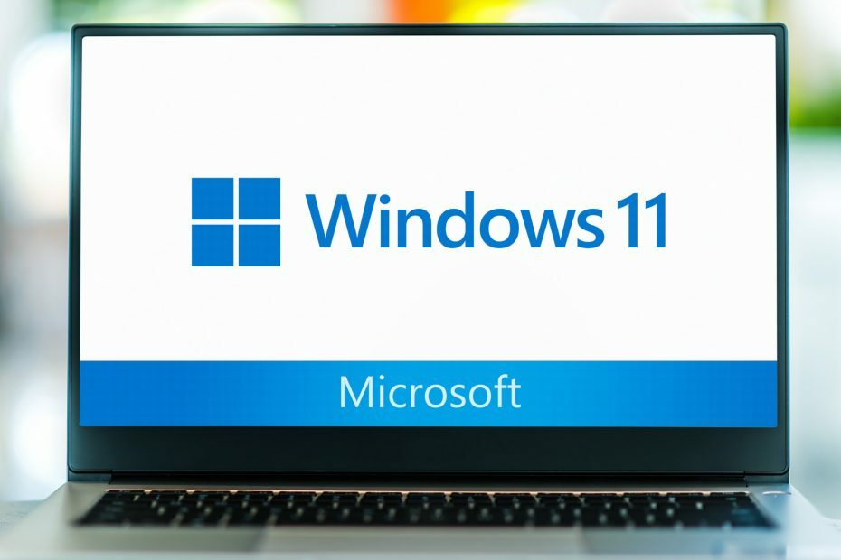 Windows 11 बिल्ड 22000.100: परिवर्तन, सुधार और ज्ञात समस्याएँ