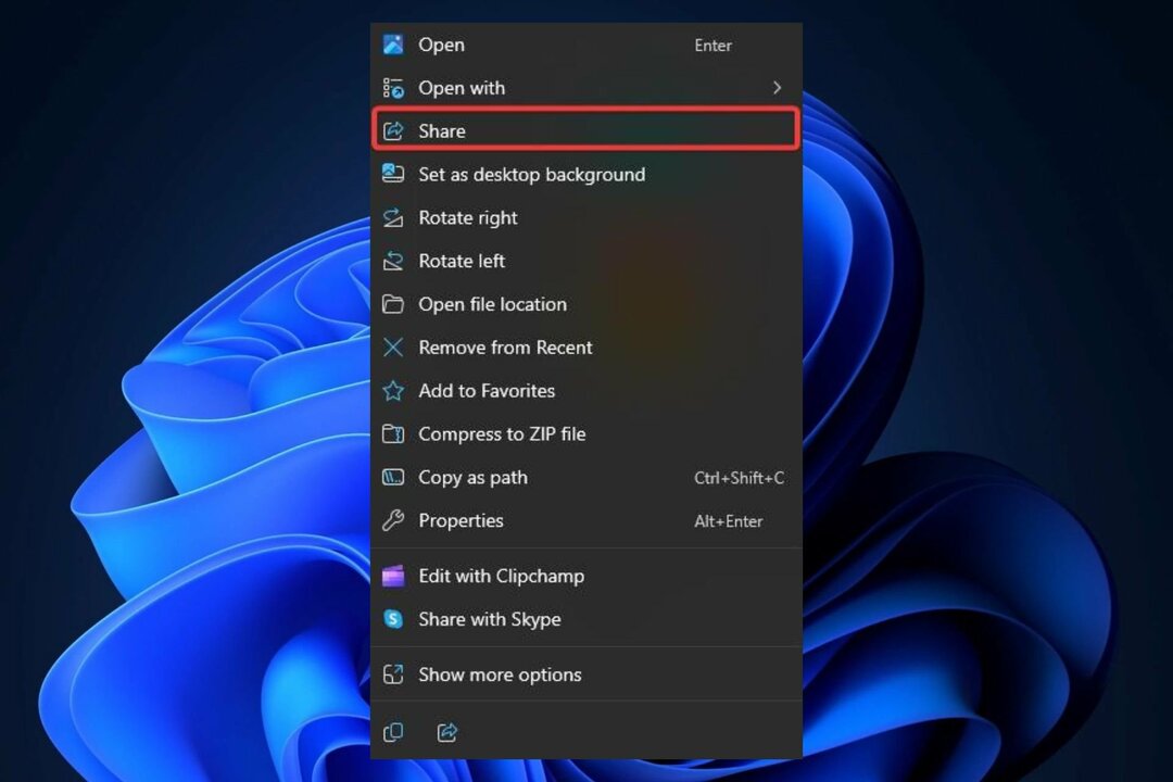 Windows 11 condivide collegamenti