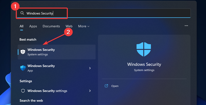 Windows sigurnost