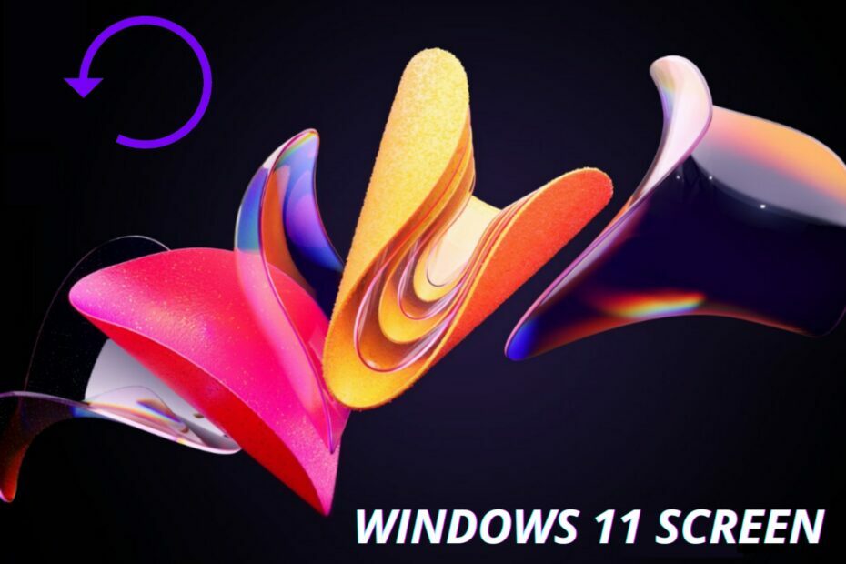 Ekraani pööramine opsüsteemis Windows 11: 3 lihtsat viisi