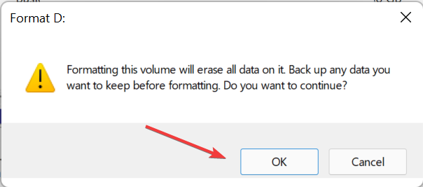Bestätigen Sie das Format, um zu beheben, dass die SD-Karte von Windows 11 nicht erkannt wird