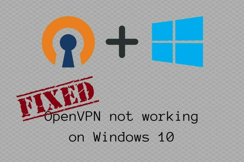 FIX: OpenVPN nu funcționează pe Windows 10 (6 soluții)