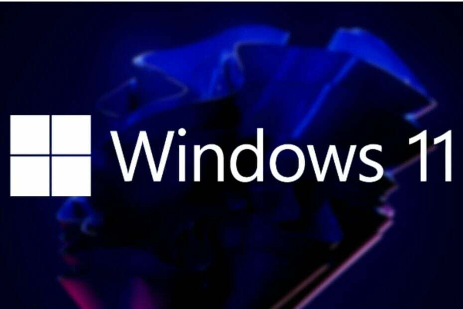 Timeout-Bildschirm von Windows 11