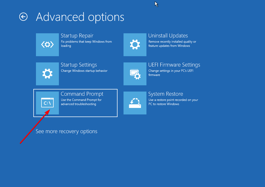wyjątek opcji cmd w przypadku nieprawidłowego pliku w systemie Windows 11