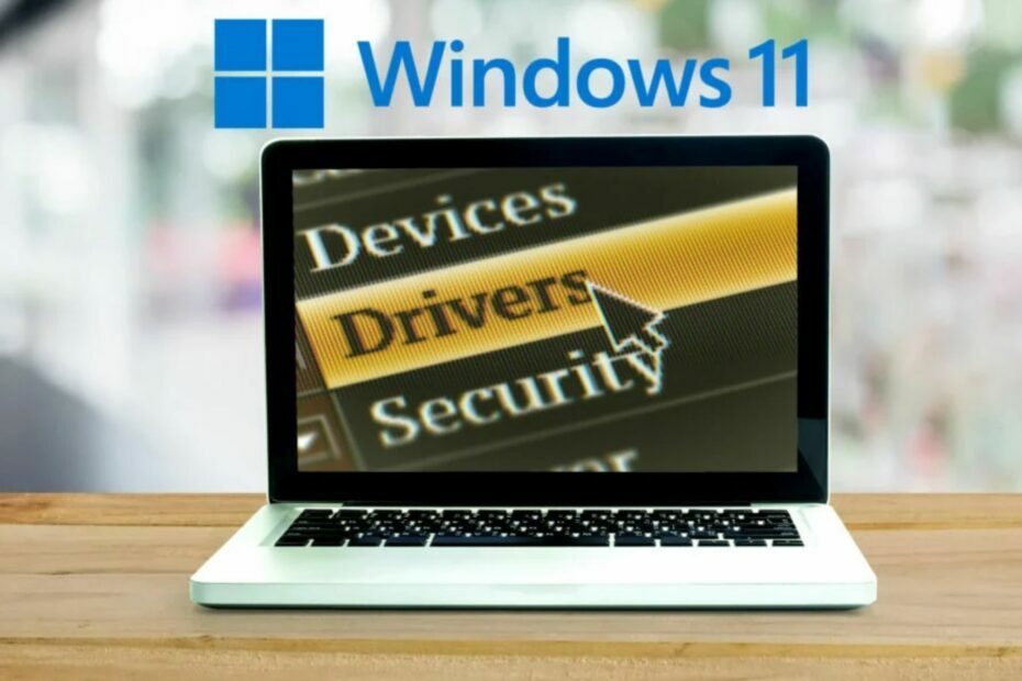 Tule aggiornare draiverid Windows 11-le