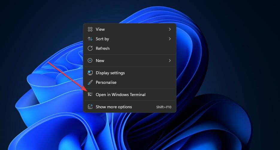 افتح في خيار Windows Terminal أفضل النصائح والحيل الخاصة بـ windows 11