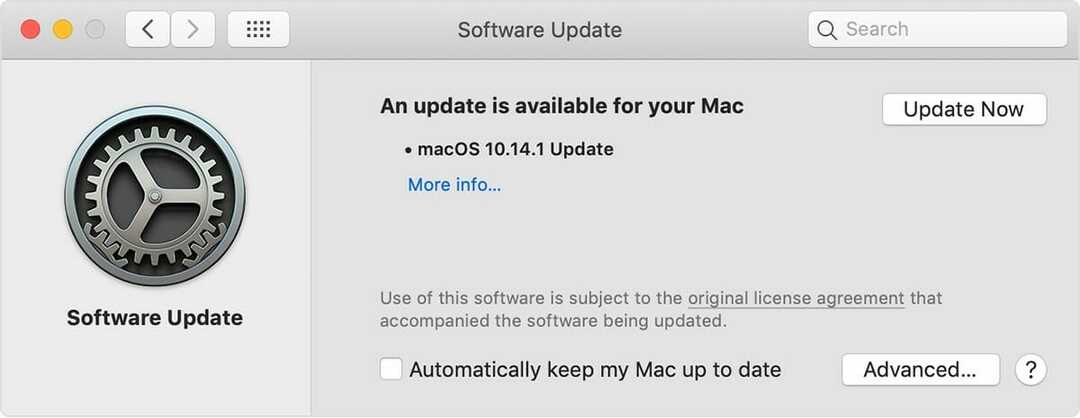 оновлення програмного забезпечення помилка дозволу файлу word mac
