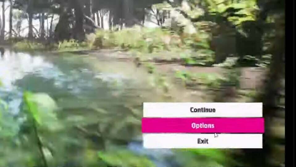 زر خيارات Forza Horizon 5 المتعثرة للكمبيوتر