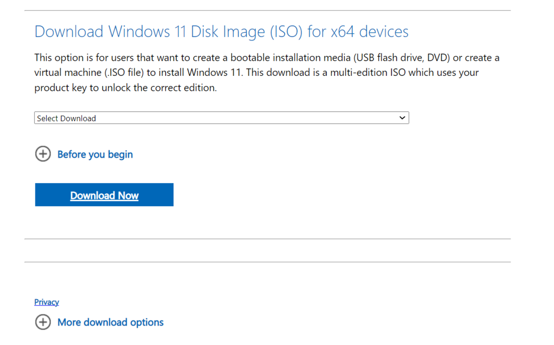 Windows 11 iso za popravak SetupPlatform.exe