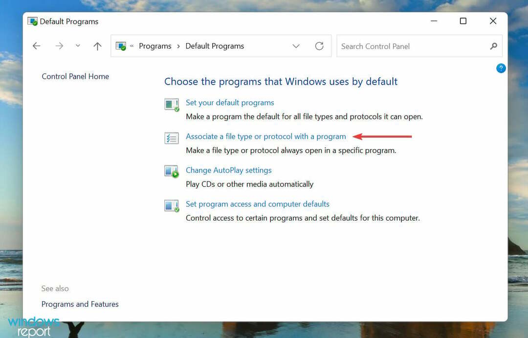 Seostage failitüüp või protokoll programmiga Windows 11 failiseose eemaldamiseks