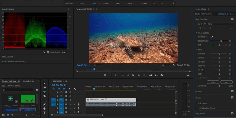 Adobe Premiere Pro 사용해보기