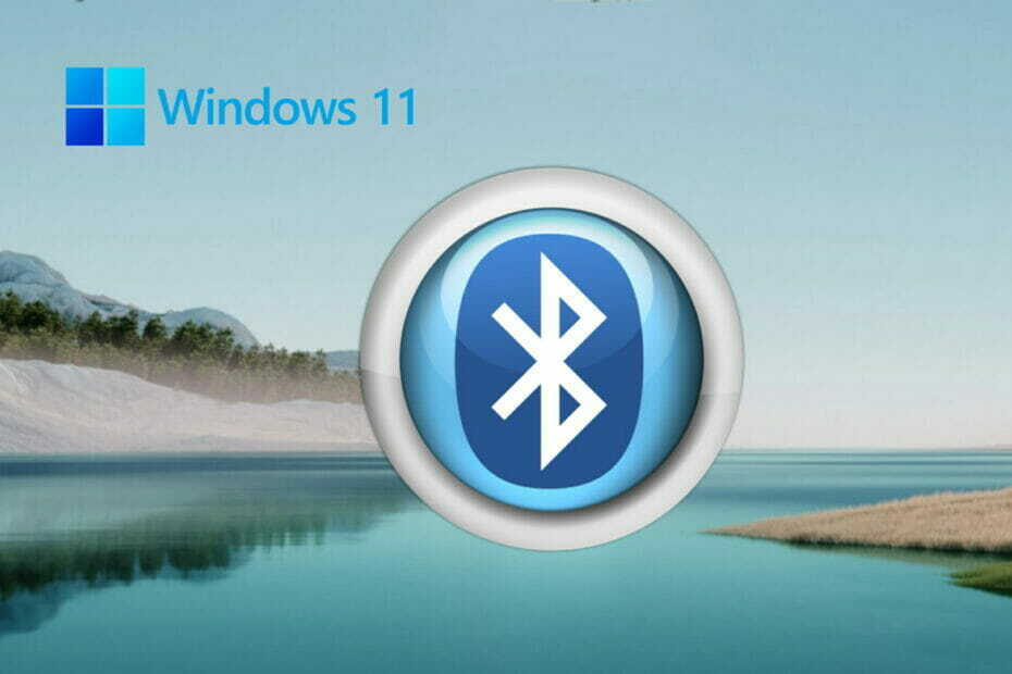 როგორ ჩართოთ Bluetooth Windows 11-ში [სწრაფი სახელმძღვანელო]