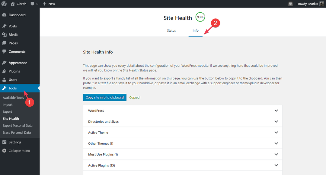 Site Health, dann Info -cURL Fehlercode 28