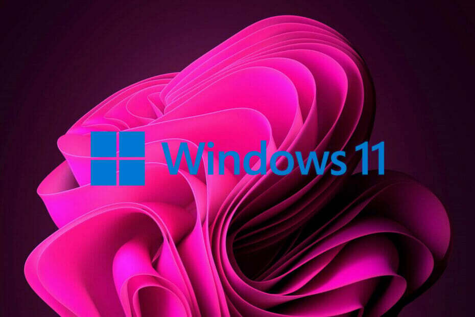 Windows 11 КБ