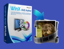 Winx DVD szerző