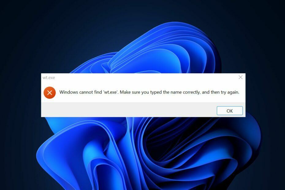 System Windows nie może znaleźć wt exe