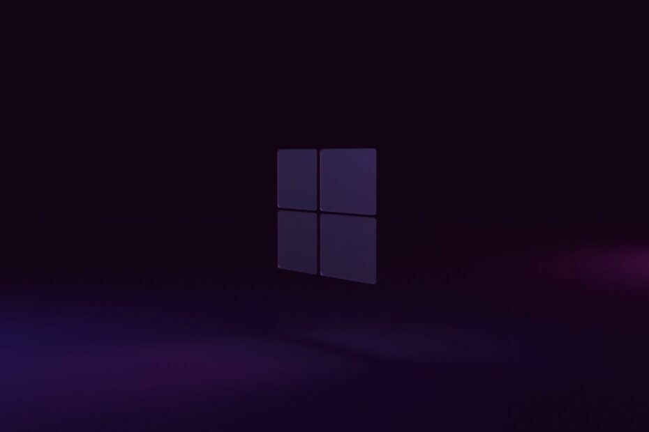 vynucená aktualizace biosu windows 11