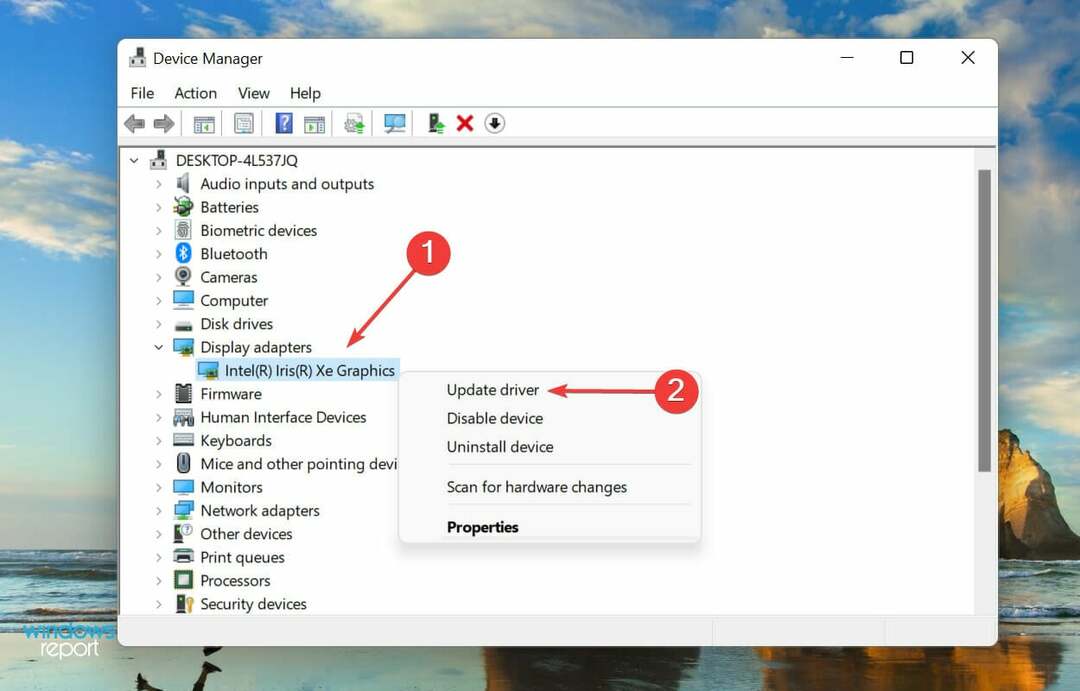 Aktualizujte ovládač na opravu chyby pri spustení systému Windows 11