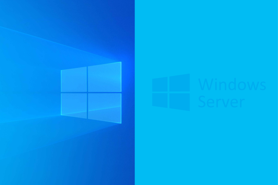 Windows проти Windows Server