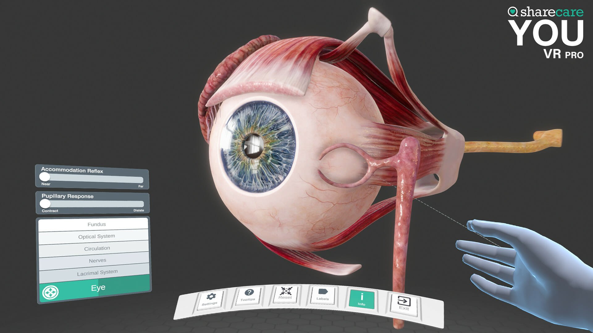Interaktyvus vaizdas, kuriame žaidėjas detaliai žiūri į žmogaus akį