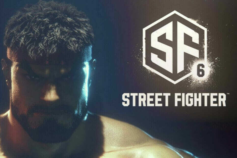 luptător de stradă 6