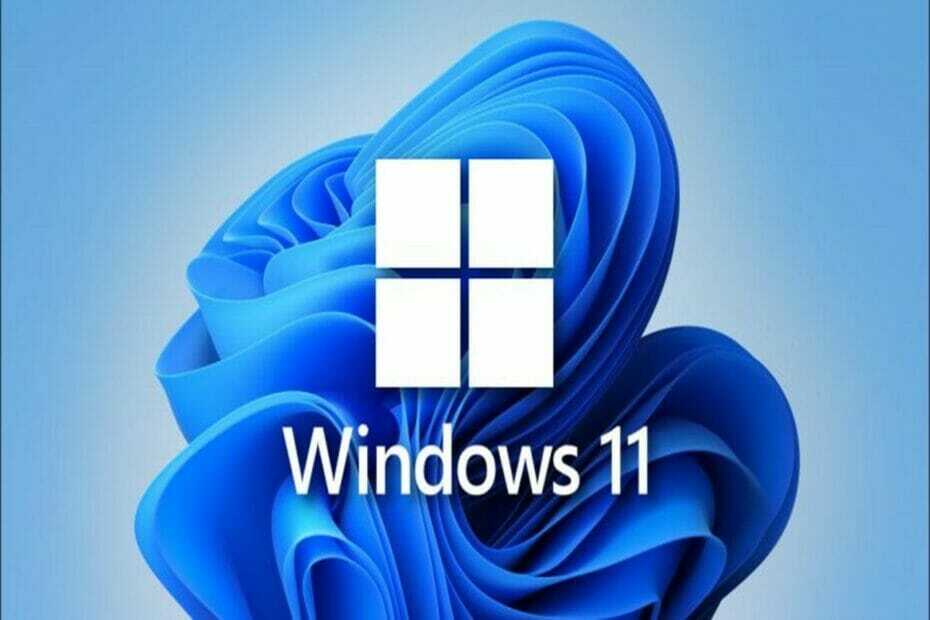 Antagandet av Windows 11 är dubbelt så högt som för Windows 10