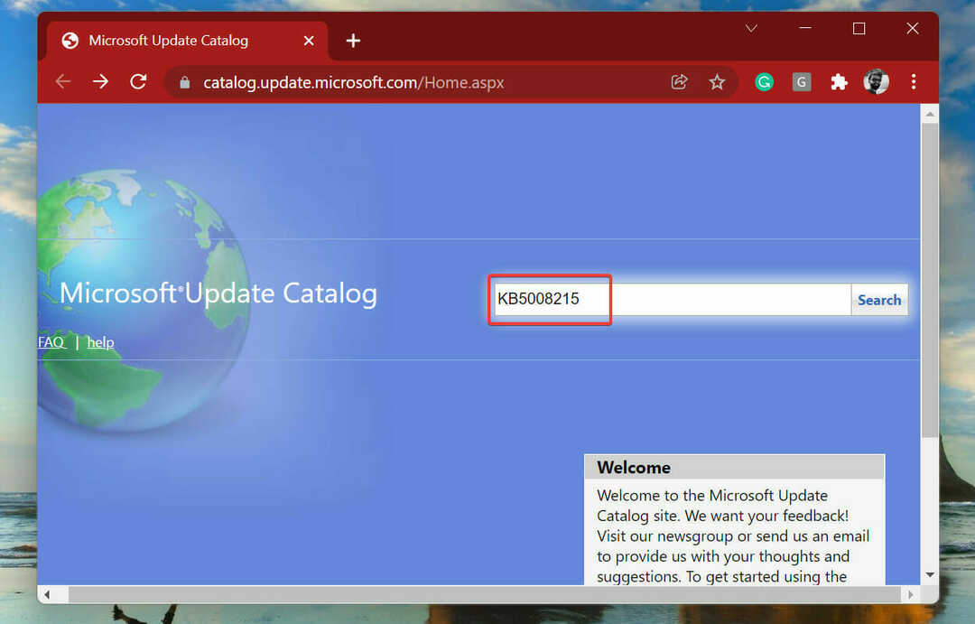 Suchen Sie im Windows Update-Katalog nach dem Update