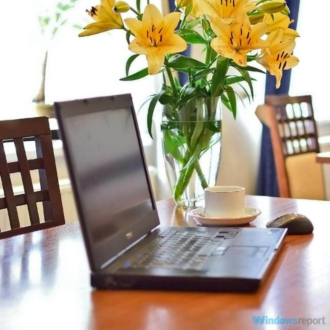 Laptop mit Blumen auf dem Schreibtisch - So verwenden Sie Magic Select in Paint 3D