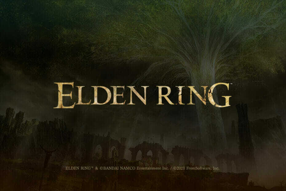 Synes du fortsatt Elden Ring har dårlig grafikk? Les denne veiledningen fullstendig