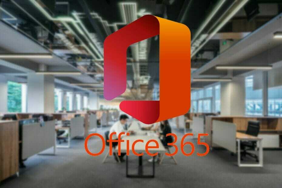 제한된보기 Office 365