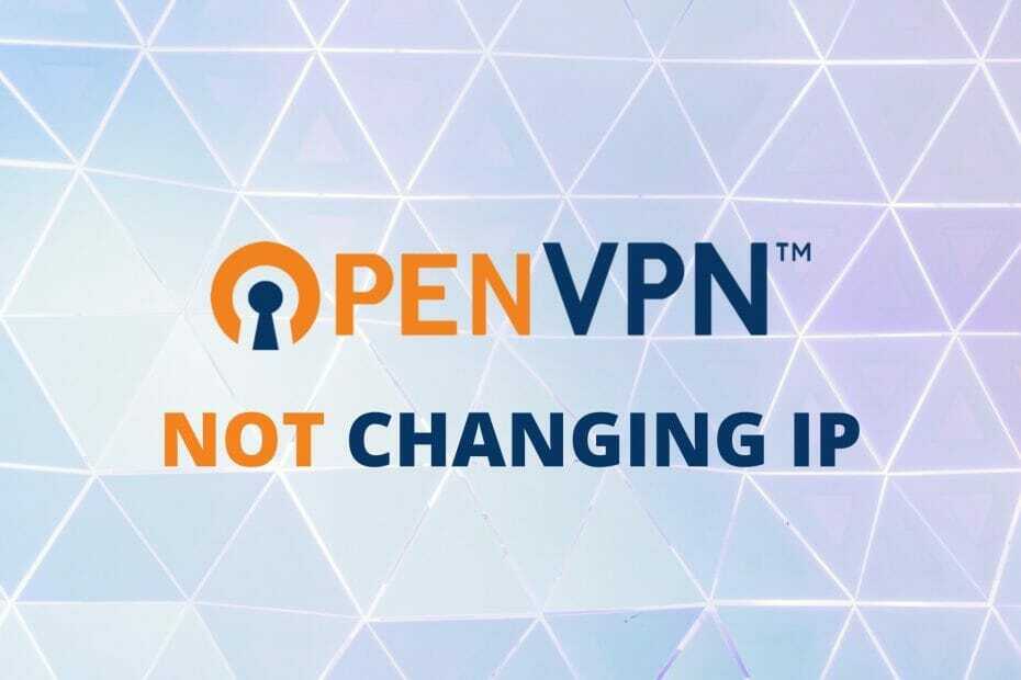 OpenVPN ne spreminja IP-ja