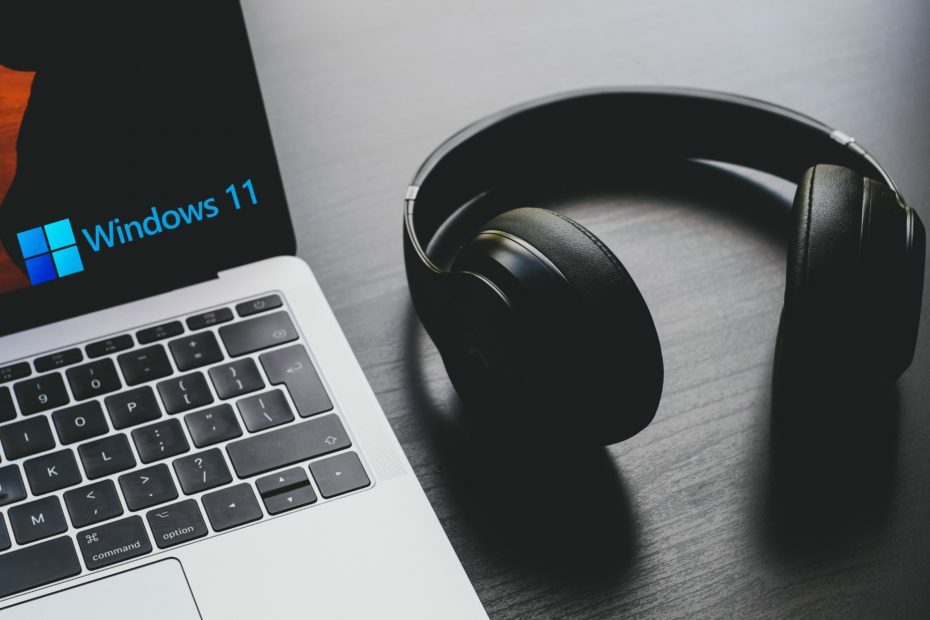 FIX: Windows 11-hoofdtelefoon werkt niet