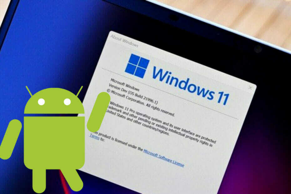 La prise en charge des applications Android natives ne sera pas disponible sur Windows 11 avant 2022